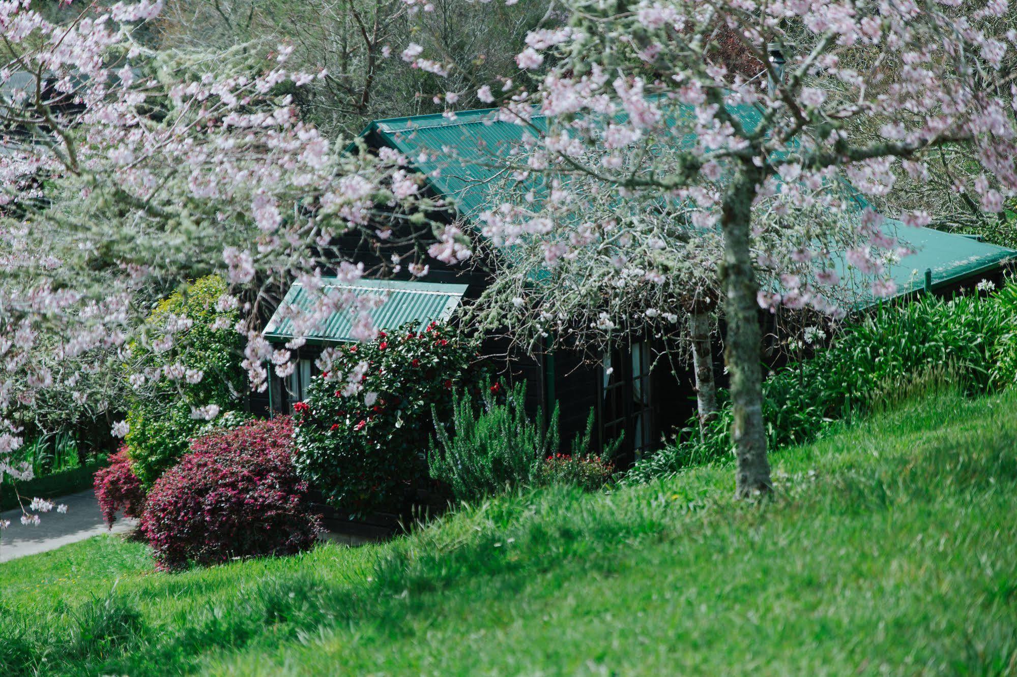 Vineyard Cottages - Kumeu Waimauku Kültér fotó
